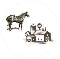 Equine - Farm