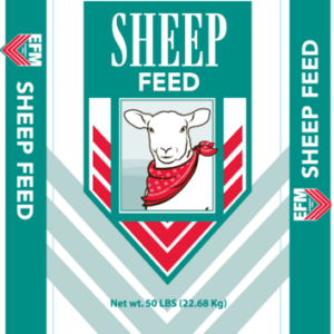 Sheep Feed