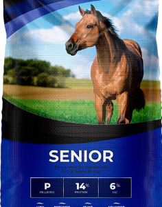 Inspire Senior Horse