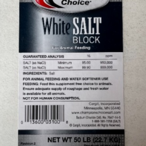 White Salt Block